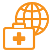 worldwide medical icon