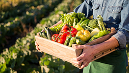 man holding produce at a farm